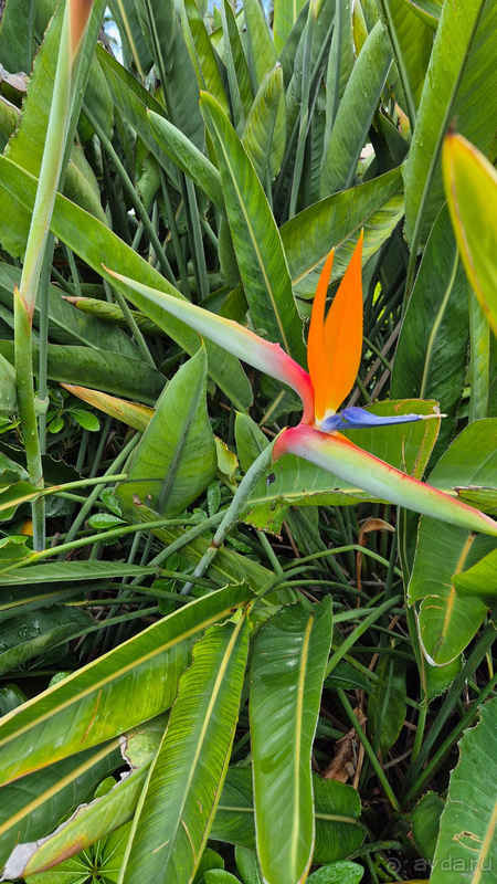 Хорошая пятерка