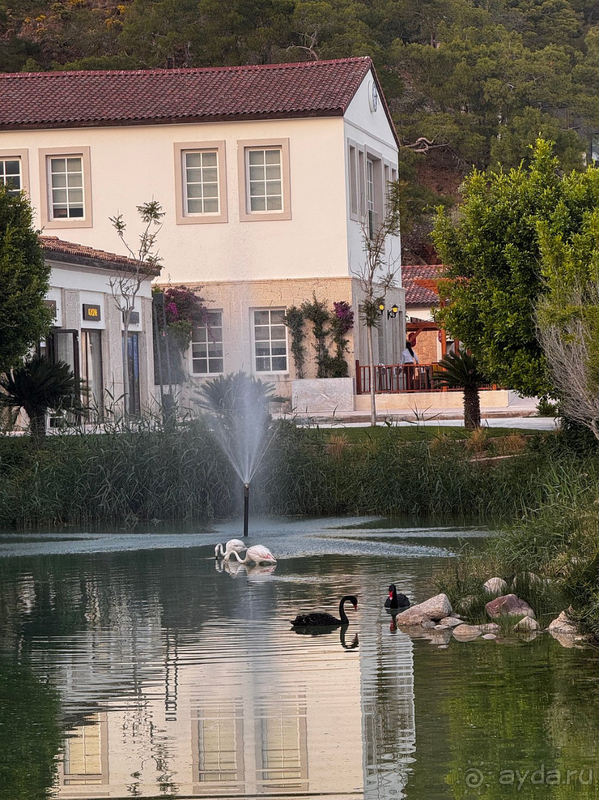 фото Rixos Premium Tekirova