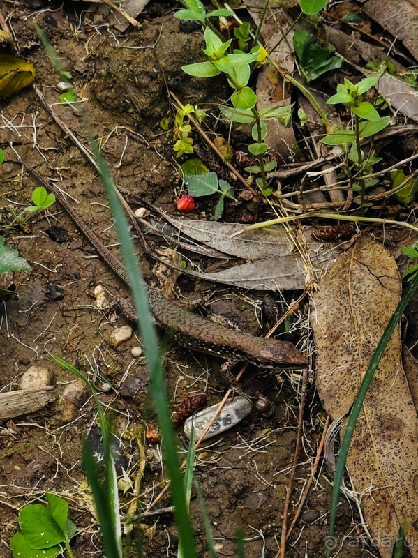 Очень все понравилось!!😻