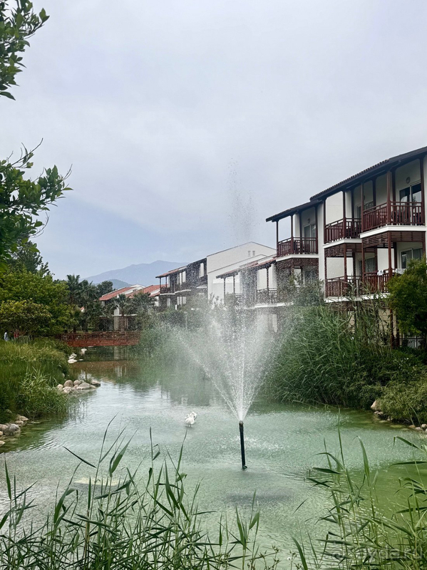 Очень все понравилось!!😻