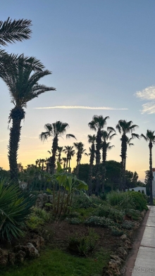 Отдых Май 2025