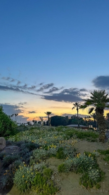 Отдых Май 2025