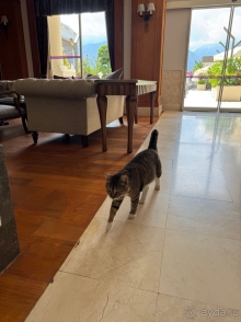 Отличный вариант для комфортного отдыха по приемлемой цене.