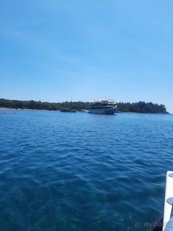 Мой любимый Армас Бич.