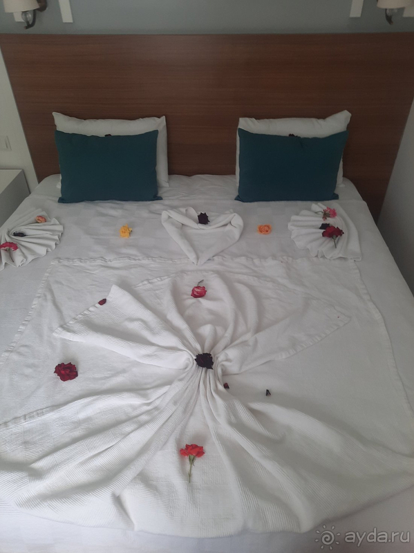 Мой любимый Армас Бич.