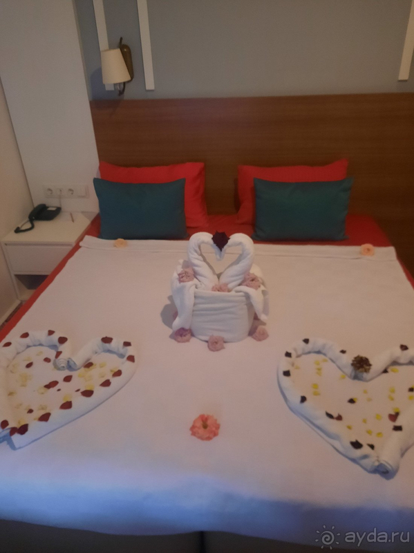 Мой любимый Армас Бич.