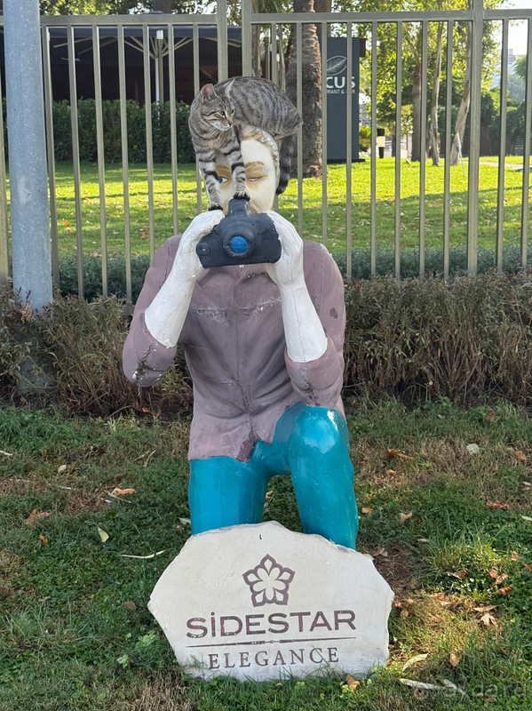 Уже уставший Side Star Elegance