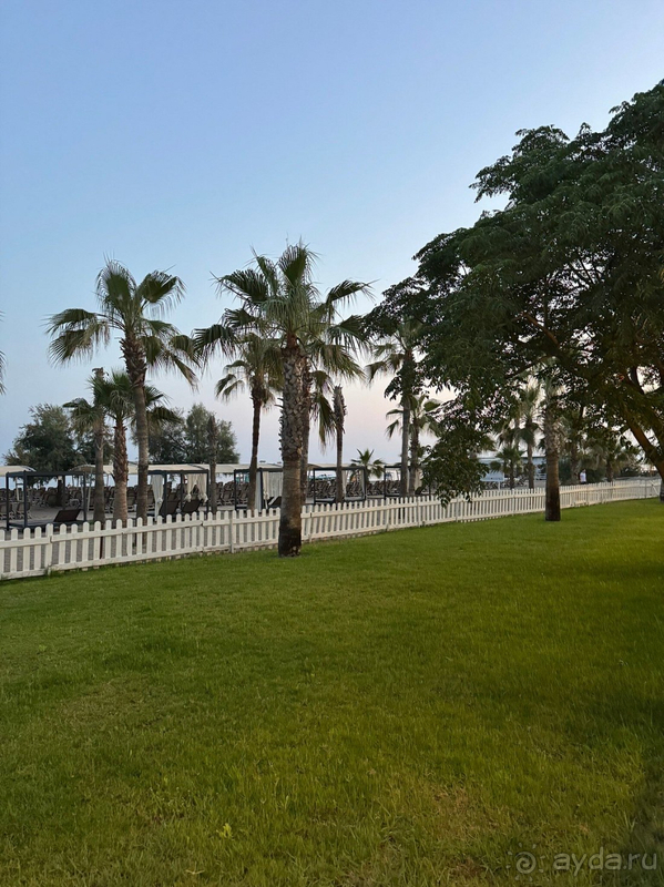 Альбом отзыва "Читайте отзыв и делайте выводы сами)"