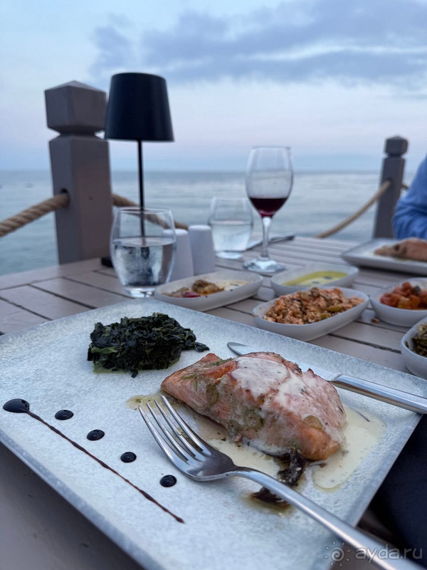 фото Balmy Foresta 