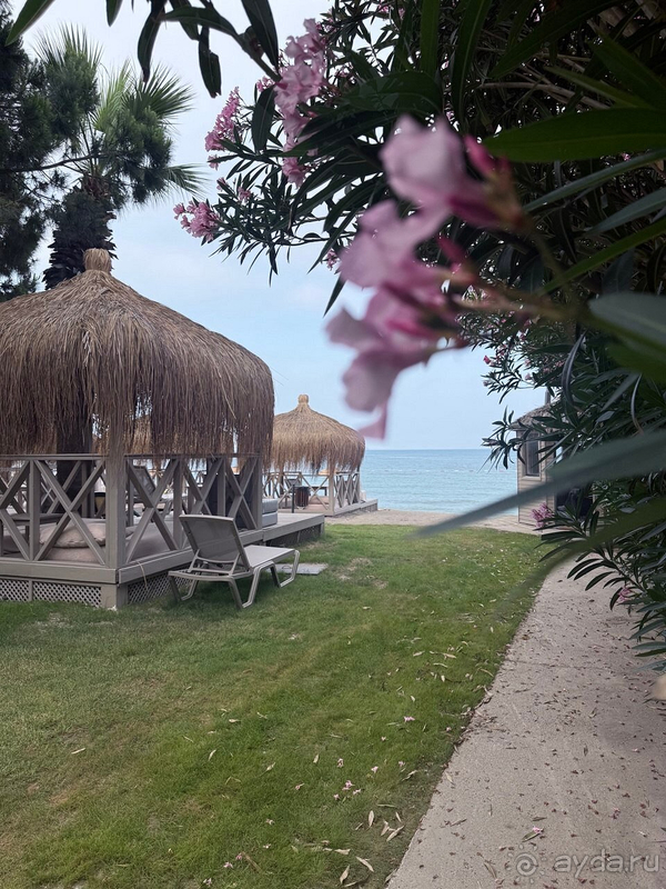 С удовольствием бы вернулись