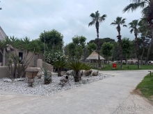 С удовольствием бы вернулись