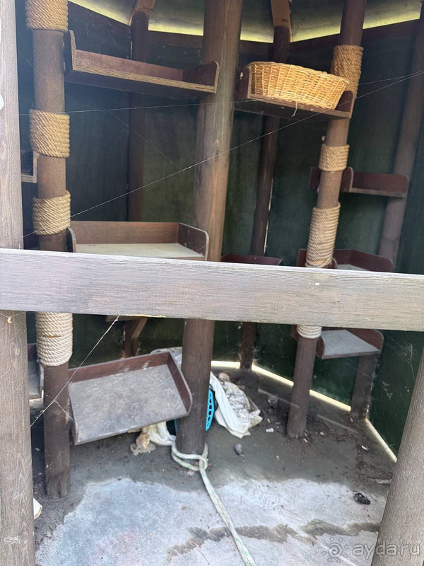 С удовольствием бы вернулись