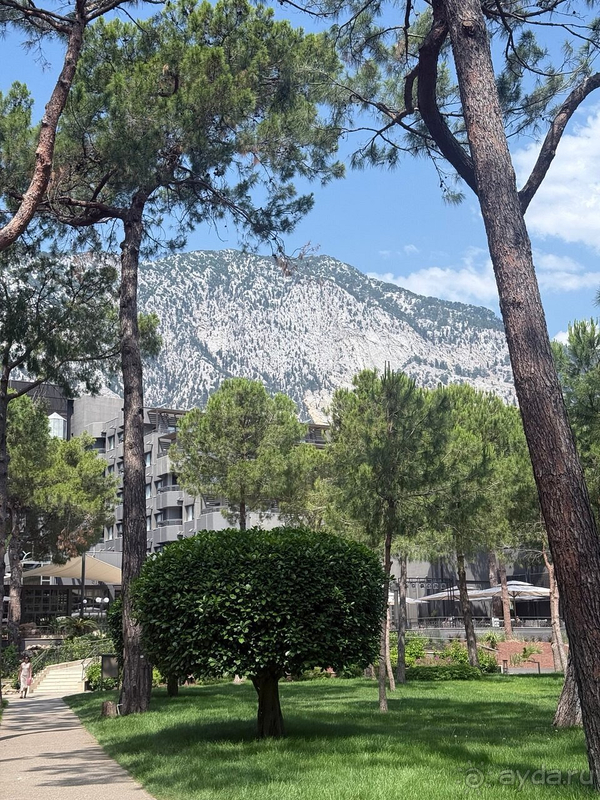 С удовольствием бы вернулись С удовольствием бы вернулись