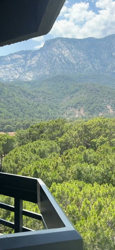 С удовольствием бы вернулись