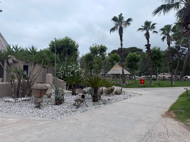 С удовольствием бы вернулись