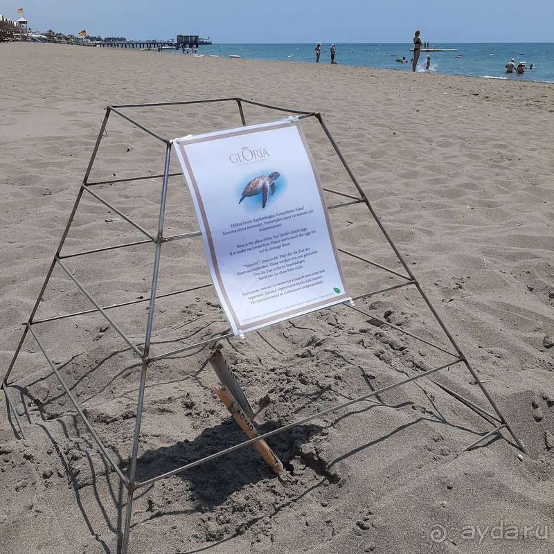 Отличный отдых