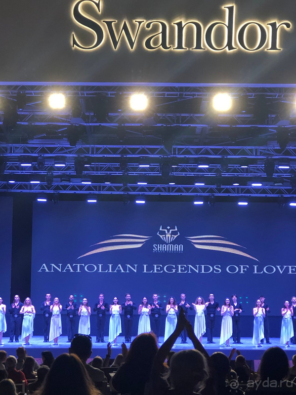 Классный Swandor