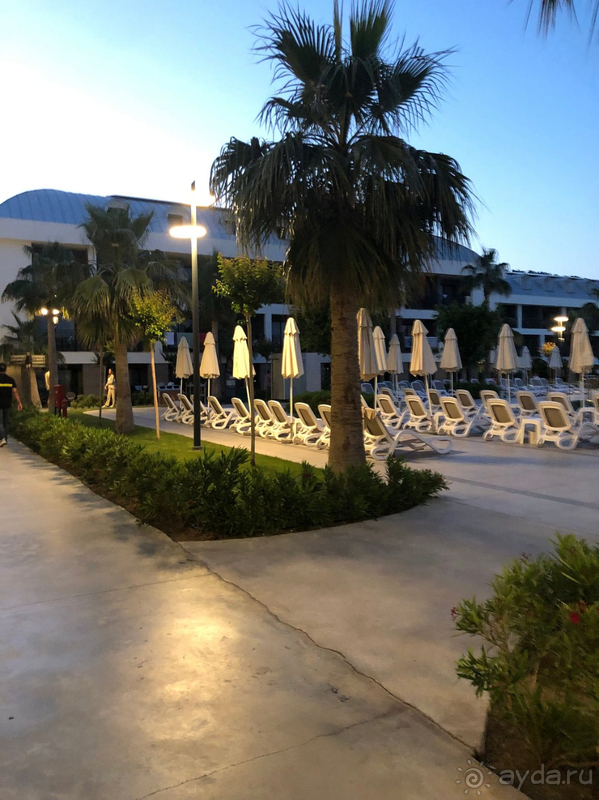 Классный Swandor