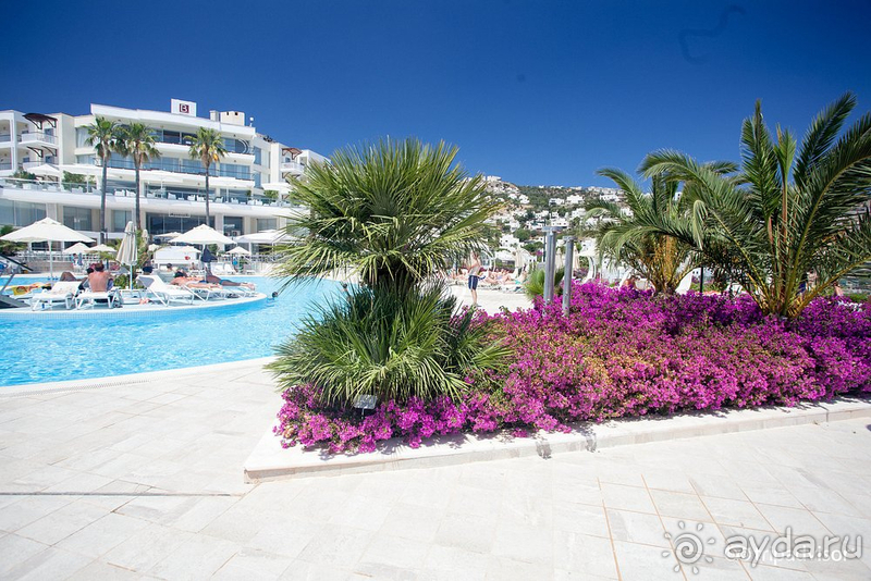 Baia Bodrum Hotel — хороший выбор для отдыха