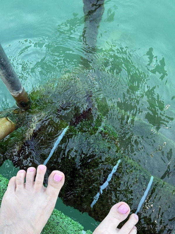 Не рекомендую 100%