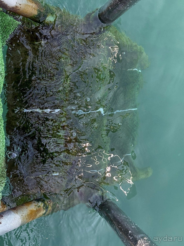 Не рекомендую 100%