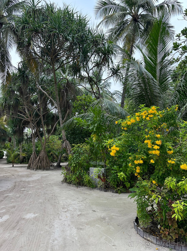 Отличный остров для семейного отдыха Отличный остров для семейного отдыха