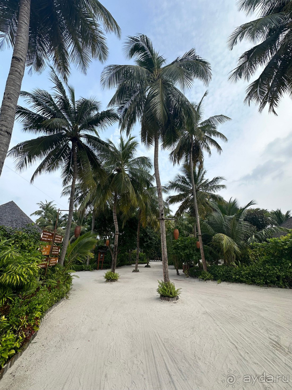 фото Sun Siyam Iru Fushi