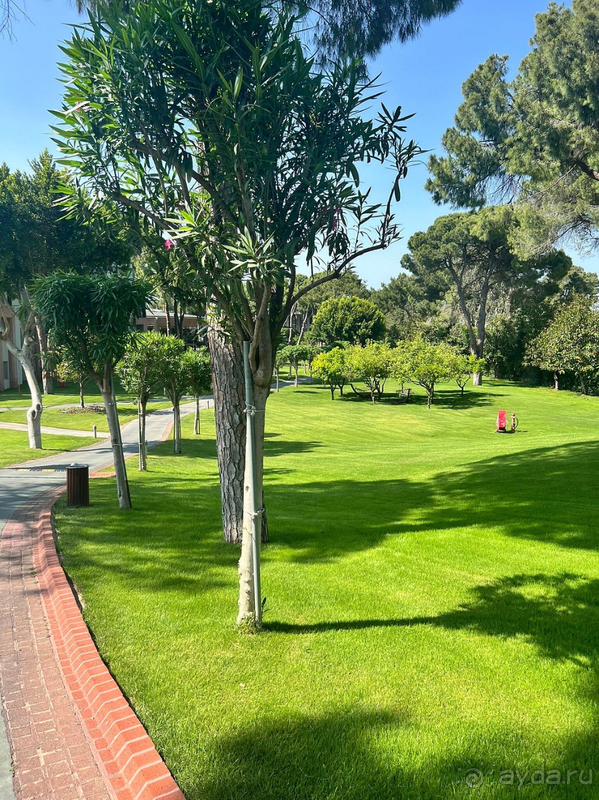 Gloria теперь в нашем сердце.