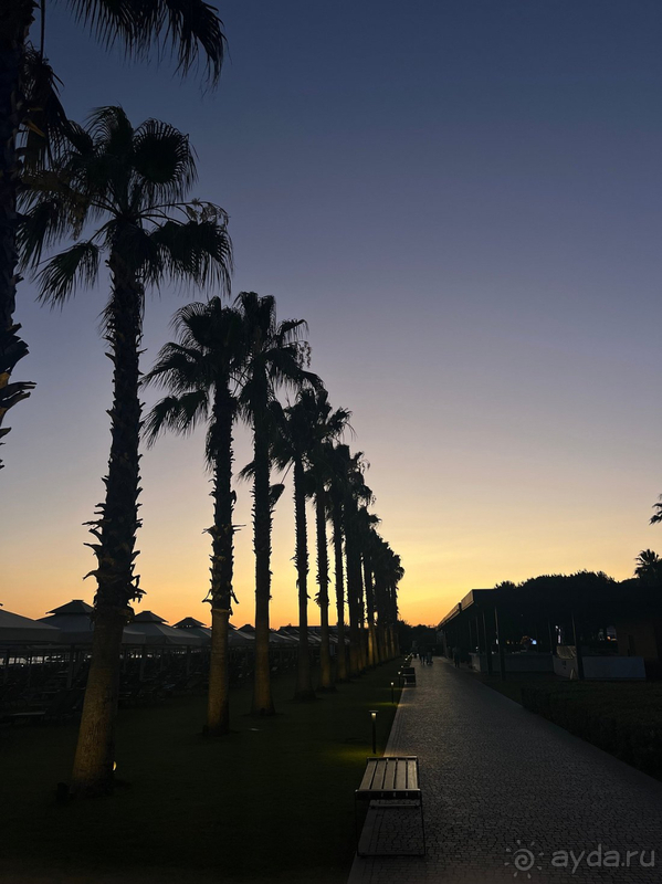 Шикарный отдых, беззаботный, счастливый и незабываемый! Потрясающий отель