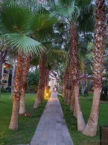 Семейный отдых