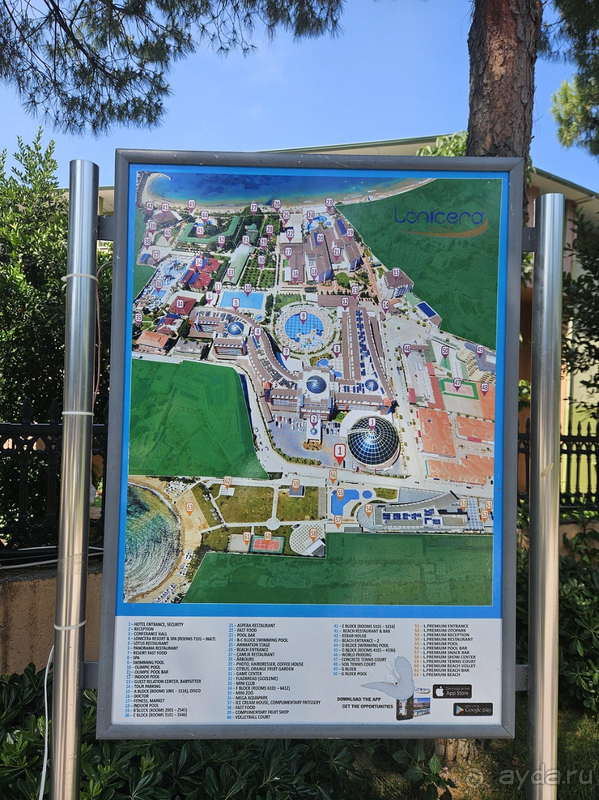 Рекомендую