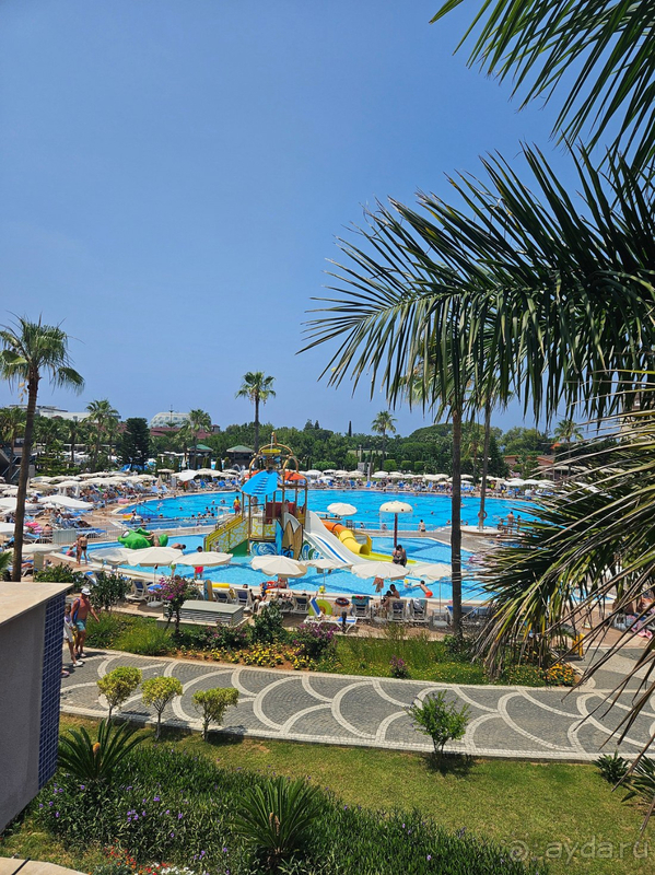 Рекомендую