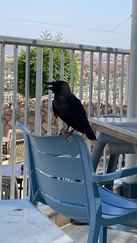 Нам все очень понравилось!