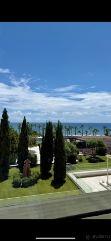 Наш Вояж 2025