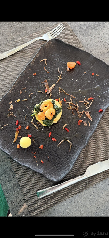 Альбом отзыва "Наш Вояж 2025"