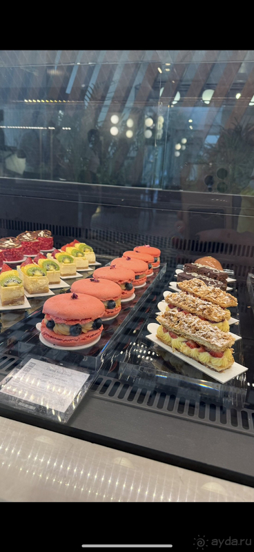 Наш Вояж 2025