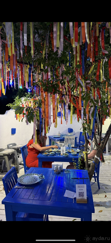 Наш Вояж 2025