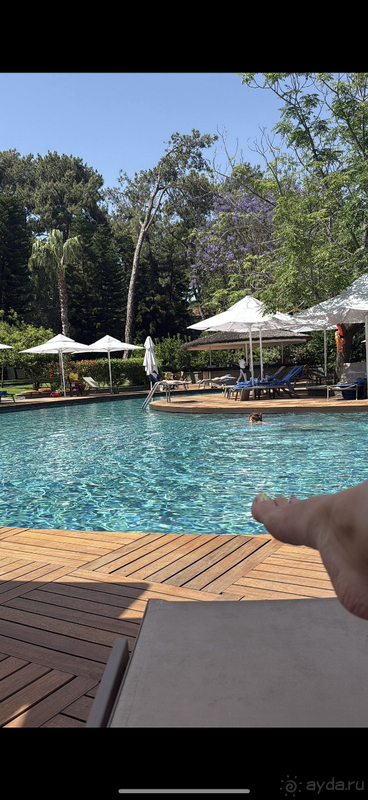 Наш Вояж 2025