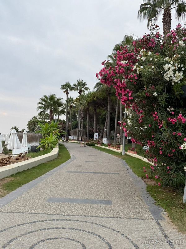 Отличный отдых