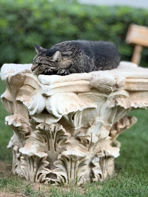 Отличный отдых