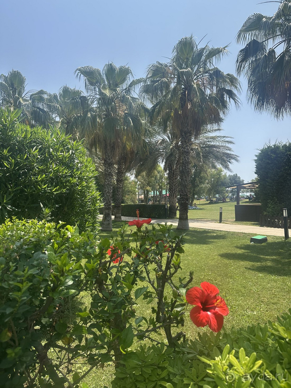 Прекрасный отель! Чудесная анимация!