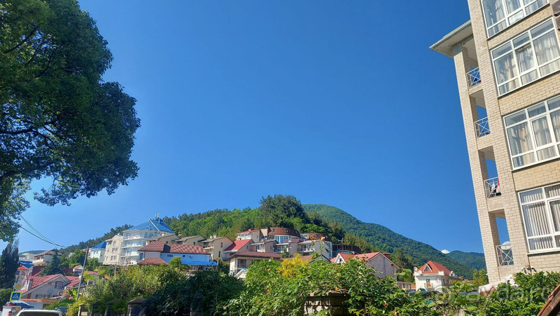 фото Гармония