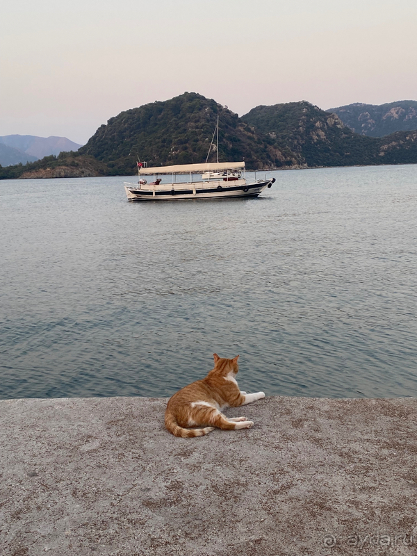 Релакс в Ичмелере: отлично отдохнула и делюсь своим впечатлением 