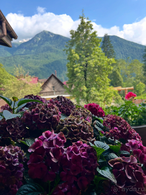 Приятный отдых