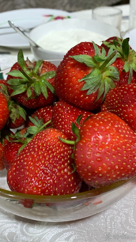 Семьей по большим дорогам