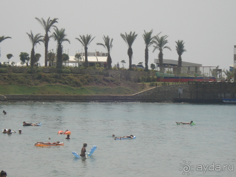 Альбом отзыва "Аланья"