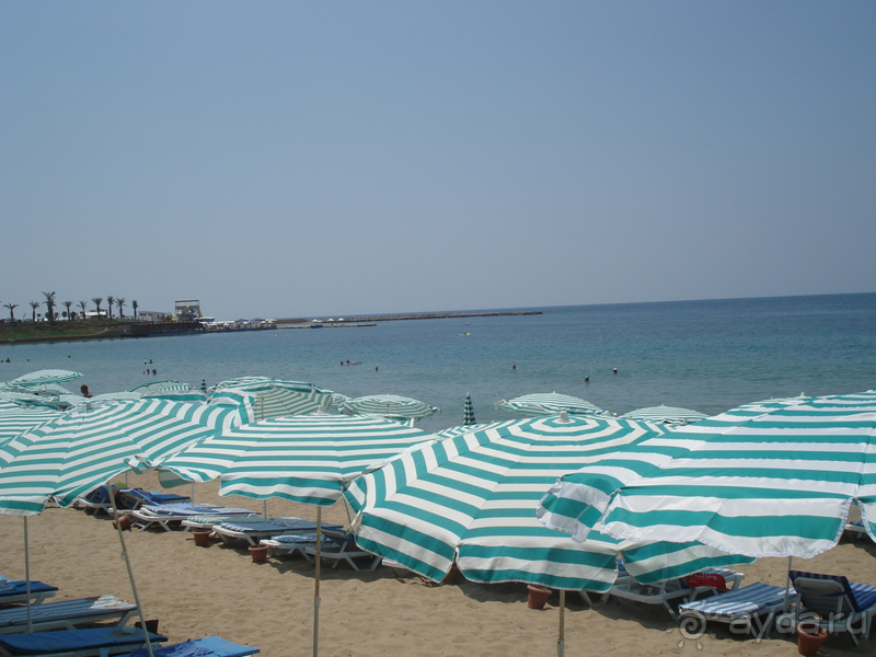 Альбом отзыва "Аланья"