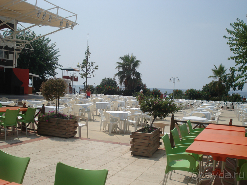 Альбом отзыва "Аланья"