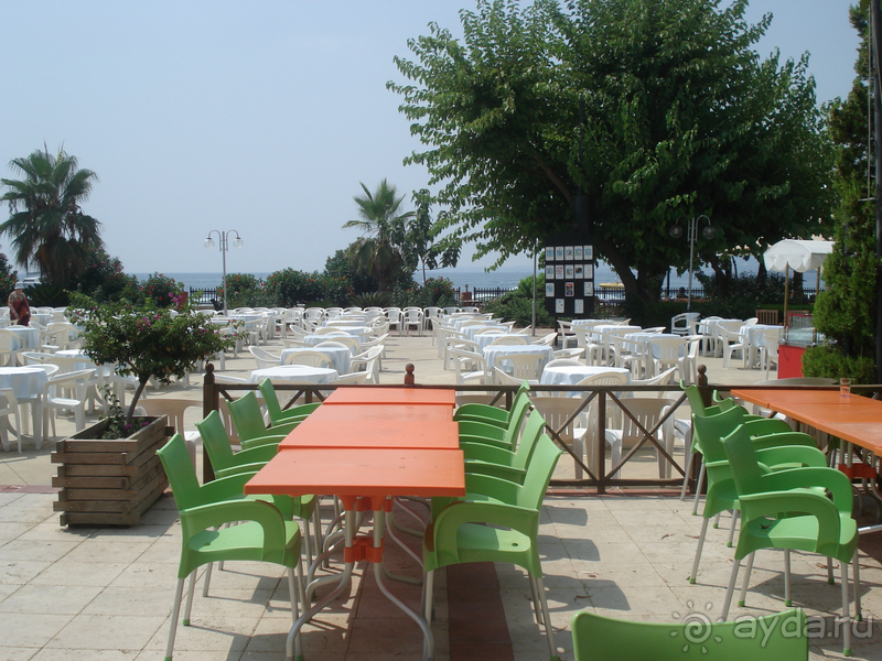 Альбом отзыва "Аланья"