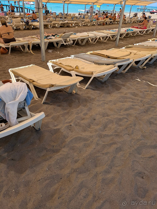 Armas Life Belek: Стоит ли отель своих пяти звёзд? Armas Life Belek: Стоит ли отель своих пяти звёзд?